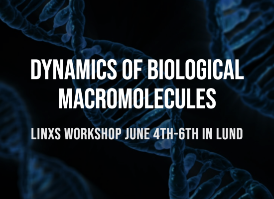Dynamics of Biological Macromolecules